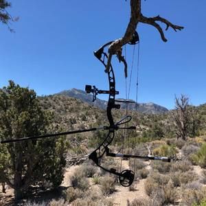 Meet your Posher, Ken